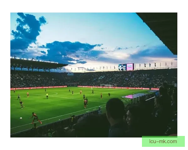 2026世界杯官方志愿者申请人数首次突破百万创历史新高