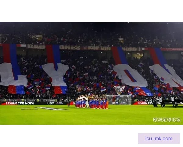 2025年11月法甲里昂因财务亏空被判罚暂缓降级处理引发争议