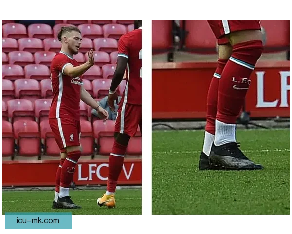 从数据到战术解读罗德里世界杯赛场统治力与中场价值全景分析